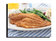 Catfish Fillet