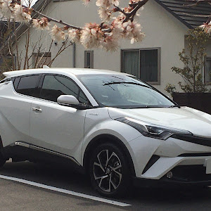 C-HR ZYX10