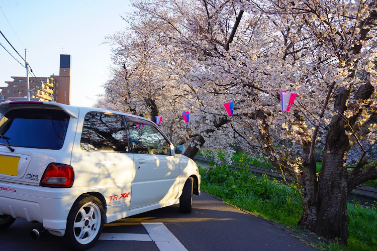 ミラTR-XXのドライブ・桜と愛車・ミラTR-XX・映えスポット・お花見に関するカスタム事例の投稿画像4枚目