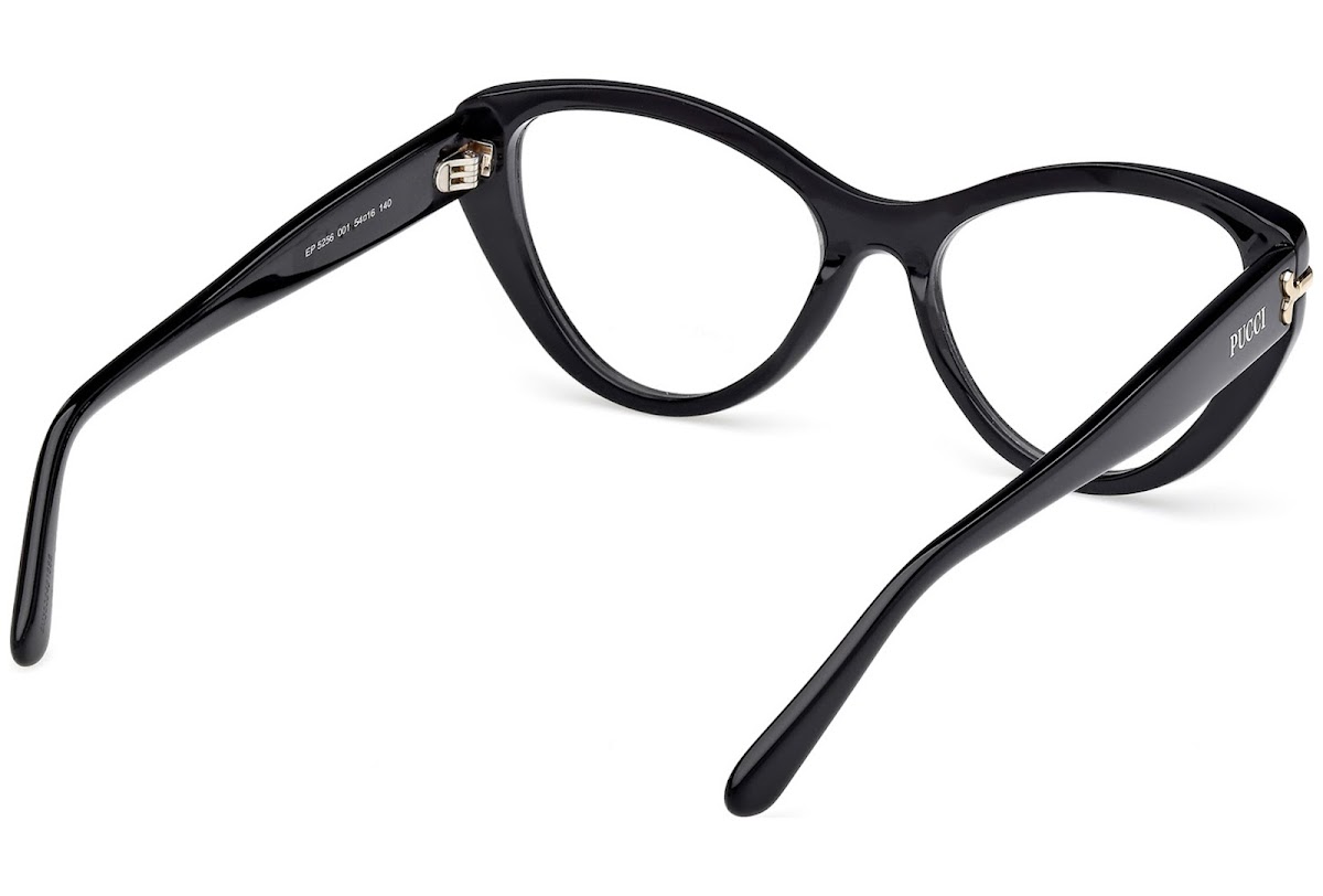 emilio-pucci-6648858789937152-5