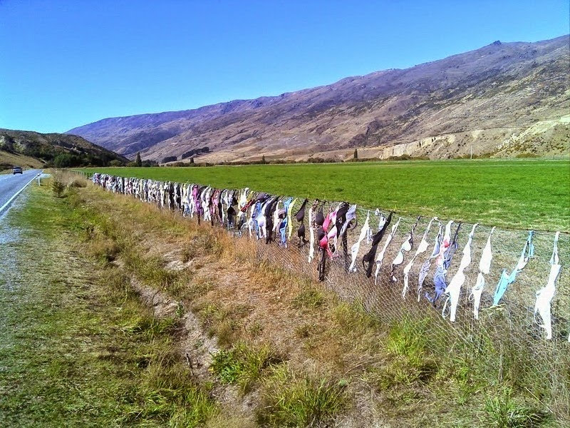 Cardrona Bra Fence, curiosa cerca dos sutiãs