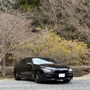 6シリーズ グランクーペ F06