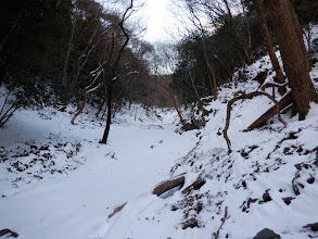 谷を登る（左上に）