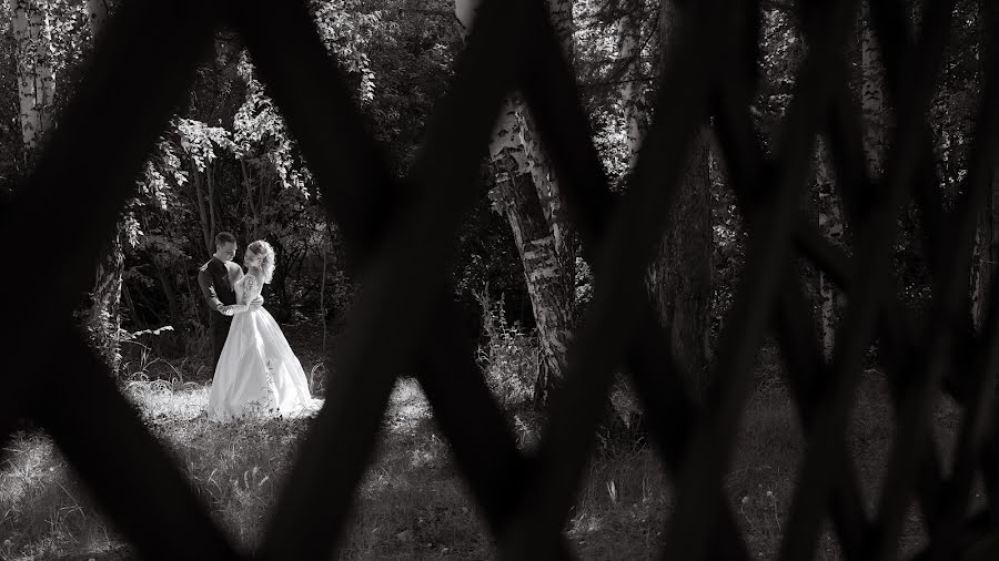 Fotografo di matrimoni Denis Volkov (tolimbo). Foto del 19 luglio 2019