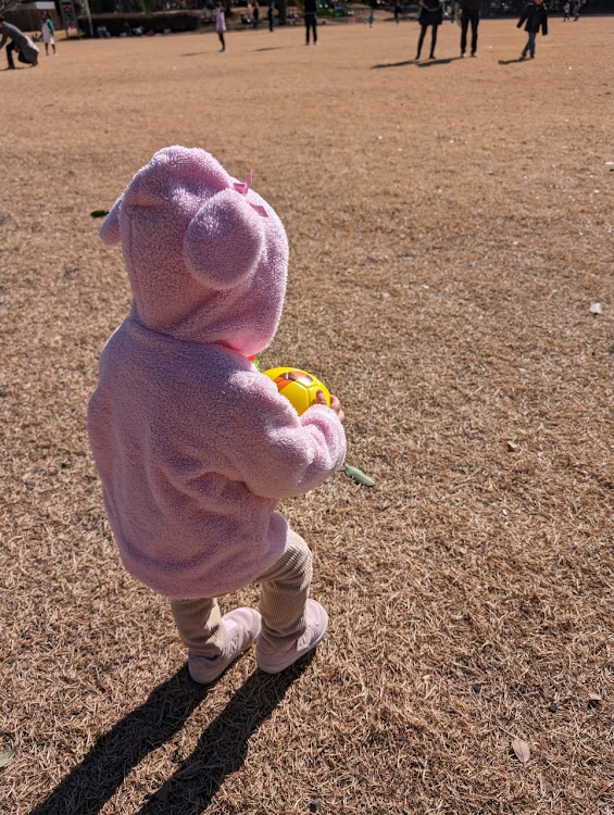 デリカD:5の岩本山公園・白尾山公園・公園遊びに関するカスタム事例の投稿画像5枚目