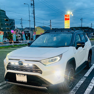 RAV4 AXAH54