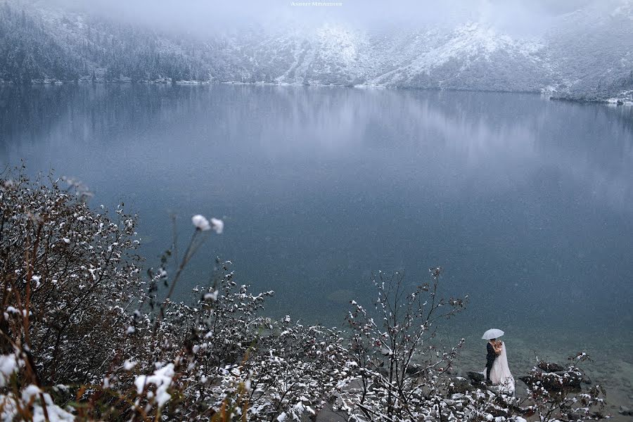 Pulmafotograaf Andrey Medvedyuk (medvediuk). Foto tehtud 6 jaanuar 2019