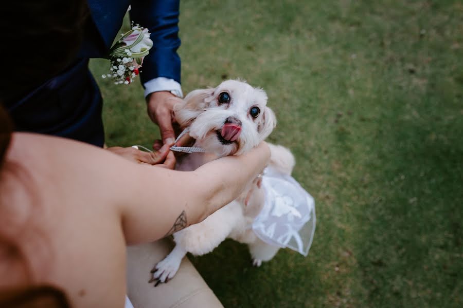 結婚式の写真家Fanny Pedraza (fannypedrazafoto)。2019 2月26日の写真