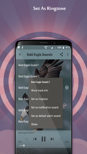 Bald Eagle Sounds