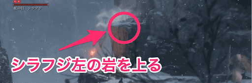 SEKIRO_シラフジ_背後忍殺1