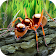 Simulateur de survie de fourmis icon