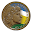 Coins and Medals Download on Windows