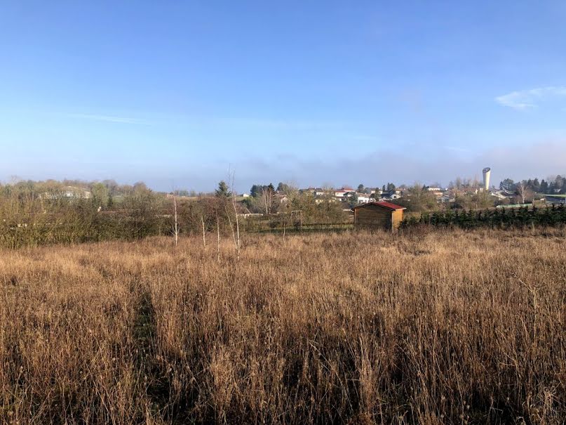 Vente terrain  3000 m² à Behonne (55000), 137 000 €