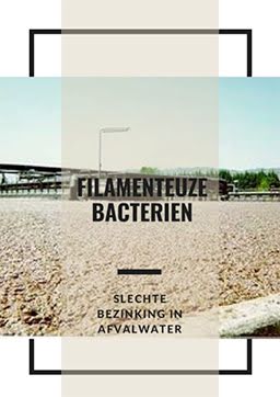 Filamenteuze bacteriën: Slechte bezinking in afvalwater