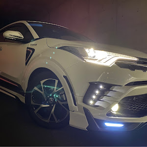 C-HR ZYX10