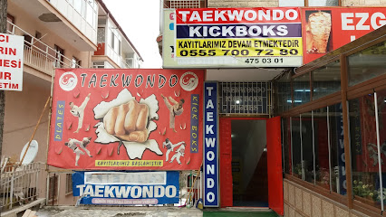 Yılmaz Sportif Gelişim Spor Kulübü Taekwondo KickBoks