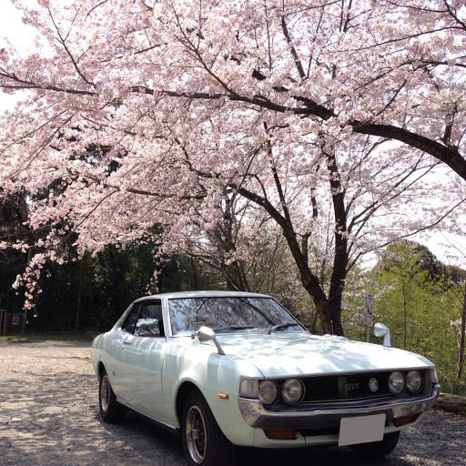 ひでのプロフィール画像