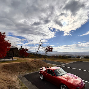 ロードスター NA6CE