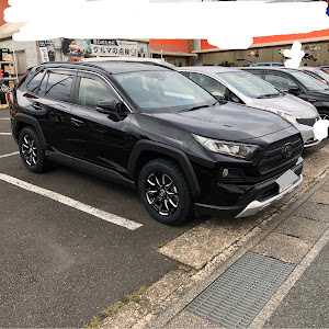 RAV4 AXAH54