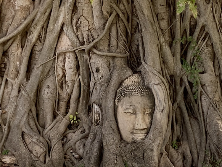 Dorian99さんが投稿したカスタム事例の投稿画像2枚目