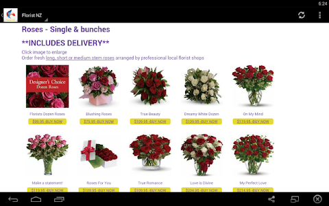 Online Flower Delivery NZ screenshot 14