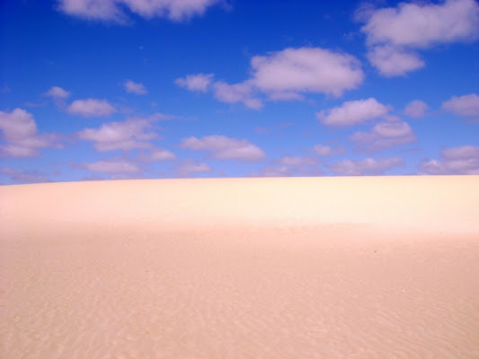 NUVOLE VAGABONDE NEL DESERTO di cocò