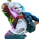 Harley Quinn Wallpapers HD New Tab Themes