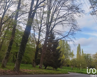 terrain à Bois-le-Roi (77)