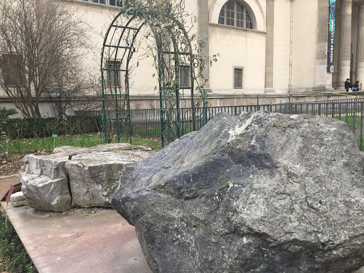 Roche exceptionnelle, Jardin des Plantes