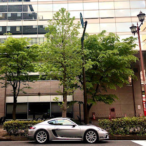 718 ケイマン 982H1