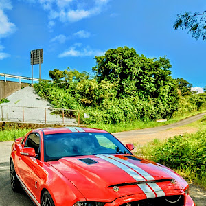 シェルビー GT500