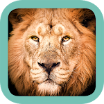 Sasol Mammals for Beginners Apk