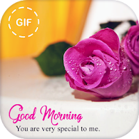 Good Morning GIF  Good Night Images  Wishes