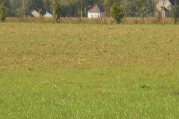 terrain à La Selle-sur-le-Bied (45)