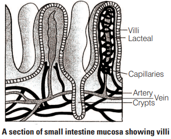 Solution Image