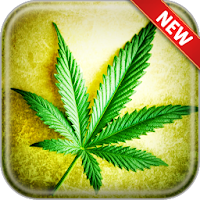 Weed Wallpapers