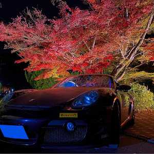 987ケイマンS