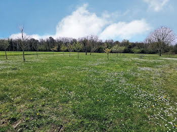 ferme à Nemours (77)