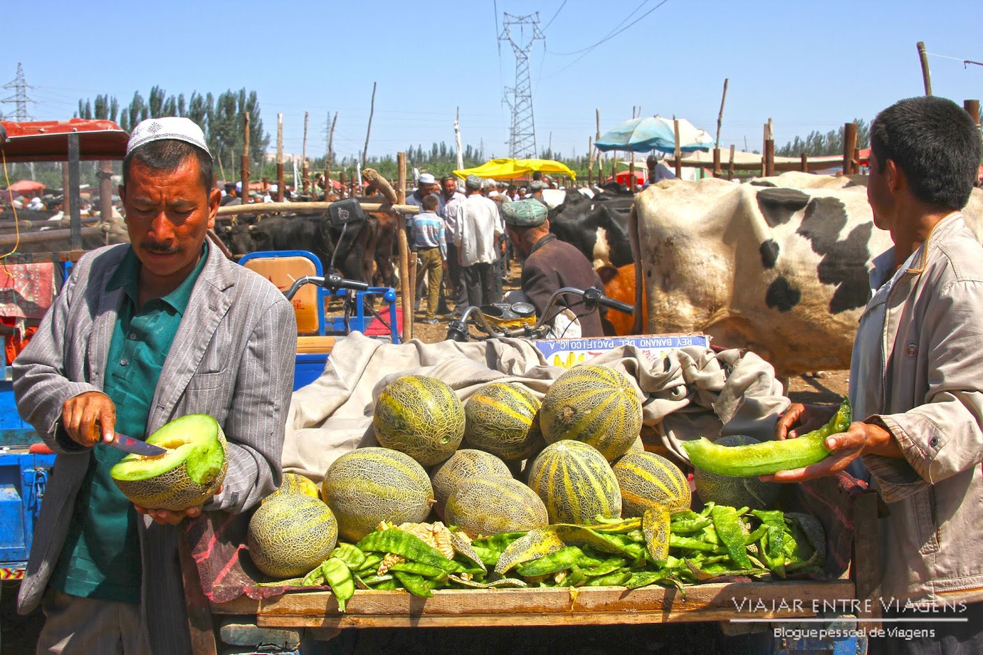 Visitar KASHGAR e conhecer  incrível mercado de Gado de Xinjiang | China