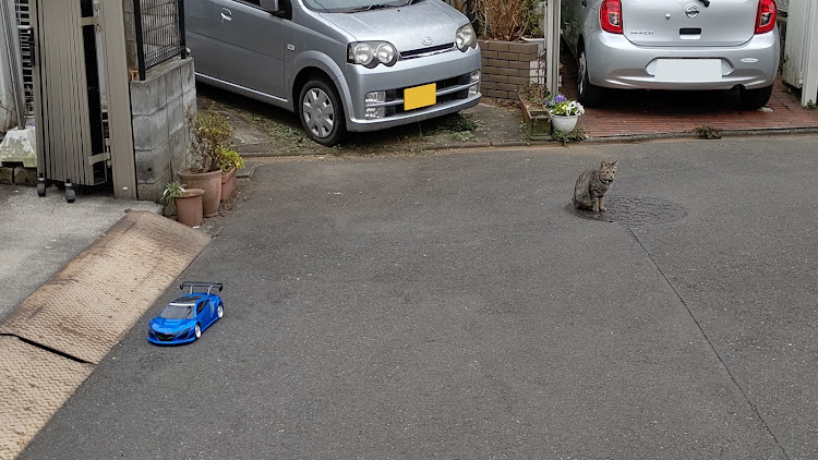 シャロンさんが投稿したドリフトごっこ・NSX・ラジコン・猫の飛び出し注意・事故りましたに関するカスタム事例の投稿画像6枚目