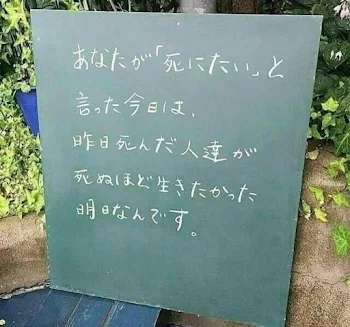 完璧な計画