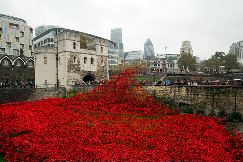 in ricordo dei caduti, torre di londra di kaira