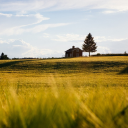 House in the field