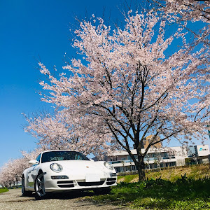 911 クーペ 99705