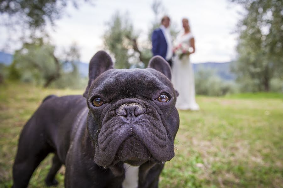 Hääkuvaaja Duccio Argentini (argentini). Kuva otettu 14. helmikuuta 2017