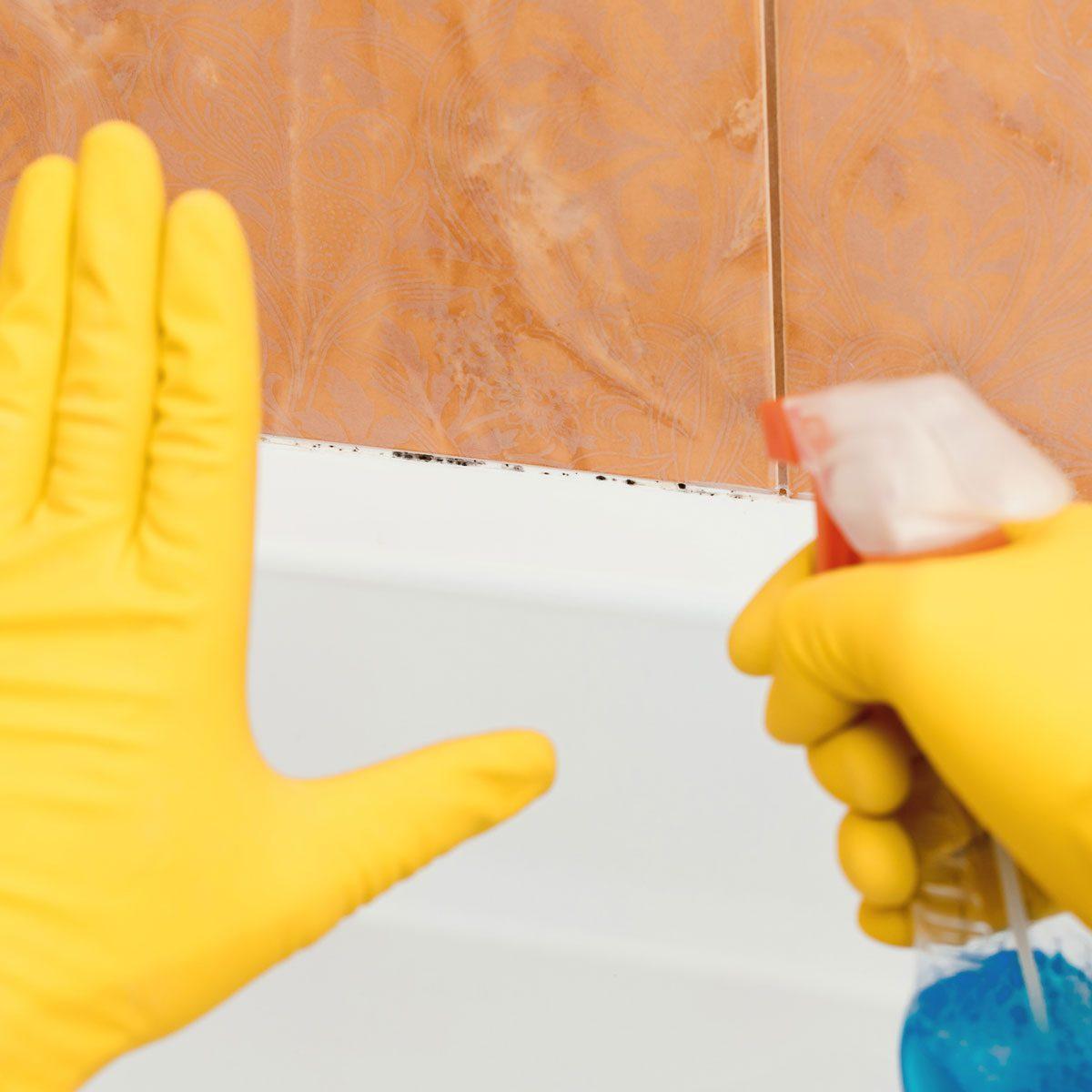 WeServe Cleaning of the black mold on the tub