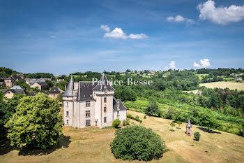 château à Brive-la-Gaillarde (19)