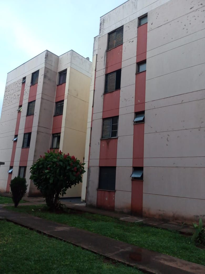 Apartamentos novos Gleba Fazenda Palhano