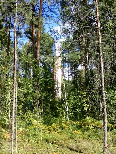 Лесная Водонапорка 