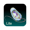 Bacteria Guide Lite Chrome extension download